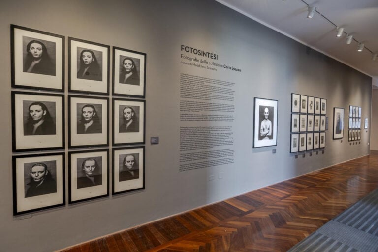 fotosintesi camec anteprima stampa ph irene malfanti 5 In Liguria il centro d’arte contemporanea della Spezia riparte con nuovo direttore e nuova programmazione