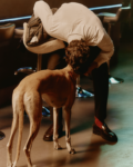Frame del corto The Gentle Society girato da per la collezione Trussardi s/s 2026