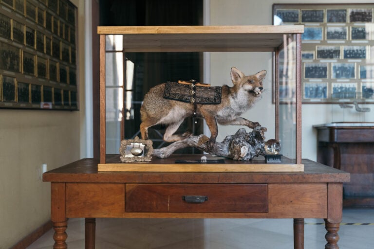 guest project dispositivi di maraviglia carla iacono a cura di livia savorelli La prima fiera collaterale dell’Art Week di Torino inaugura fuori Torino: report da Paratissima a Moncalieri