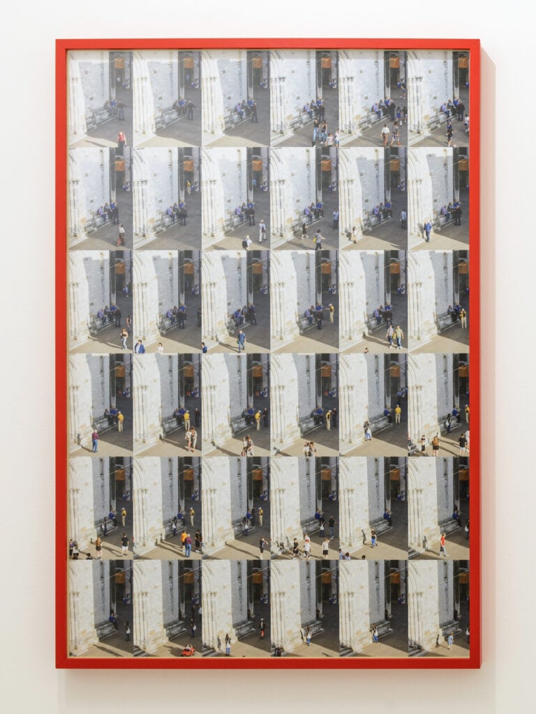Perenni Ospiti, installation view, 2025