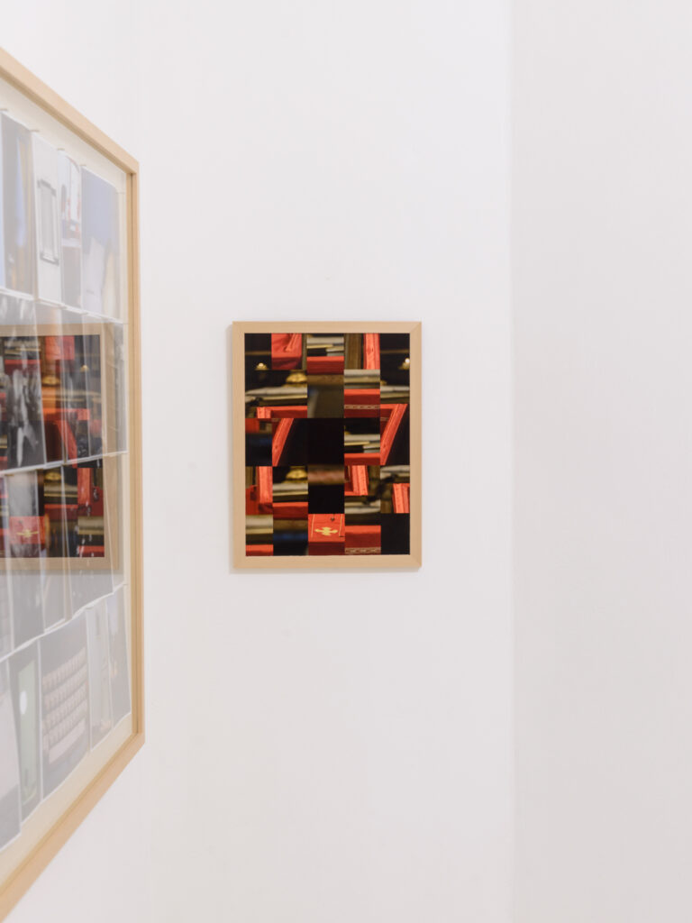 Perenni Ospiti, installation view, 2025