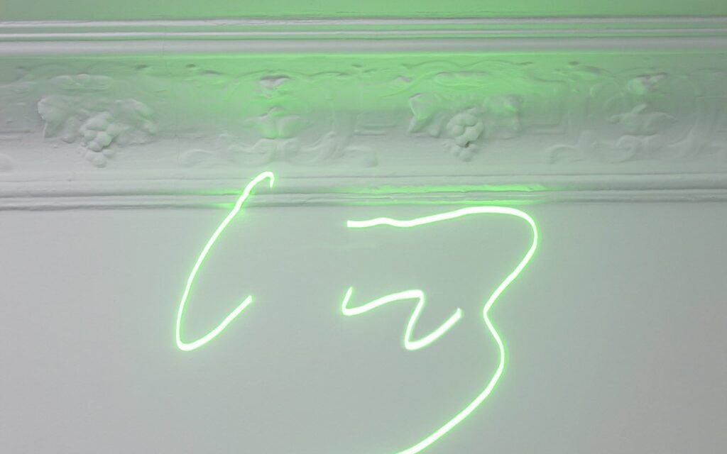 Kunstraum Kreuzberg, Ruben Grilo, Laser22, Learning from Weeds