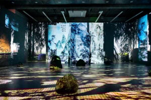 Memory Coexistence. Apre una grande mostra di videoarte al MEET di Milano