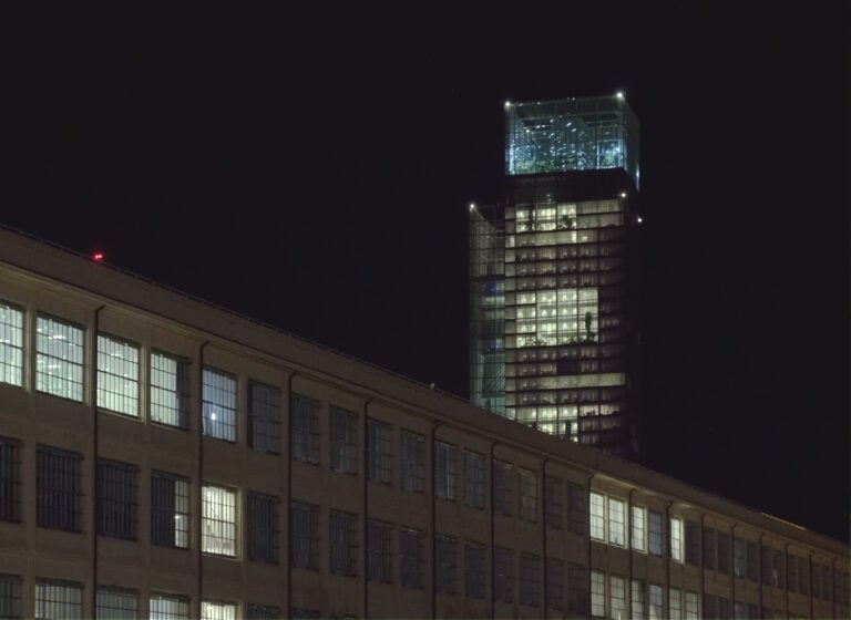 Swarms (Sciami), Chiara Camoni. Luci d'Artista 2025