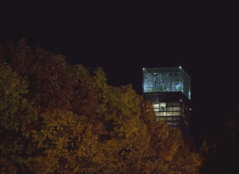 Swarms (Sciami), Chiara Camoni. Luci d'Artista 2025