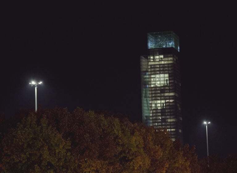 Swarms (Sciami), Chiara Camoni. Luci d'Artista 2025