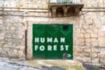 maua favarastreet artist carlotta bertana Il museo diffuso che anima la street art attraverso la realtà aumentata arriva in sei nuove città d’Italia