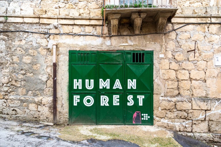 maua favarastreet artist carlotta bertana Il museo diffuso che anima la street art attraverso la realtà aumentata arriva in sei nuove città d’Italia