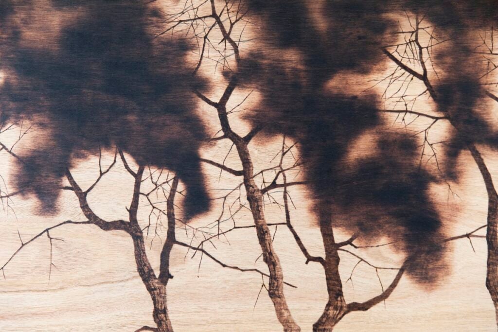 Nickolaas Willems – Traccia di Fuoco