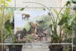 phest2025znelson A Monopoli 10 anni di PhEST: festival internazionale di fotografia e arte in Puglia 