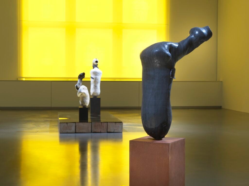 Phoebe Collings-James