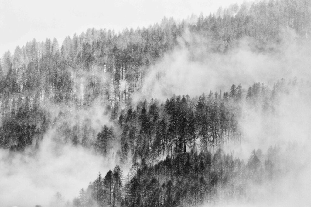 Riccardo Vanolo – Naturalized