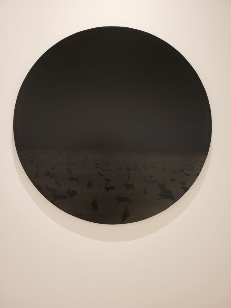 quadriennale di roma 18esima edizione palazzo delle esposizioni 2 2 Inaugura a Palazzo delle Esposizioni la Quadriennale di Roma. Le prime foto della mostra “Fantastica”