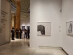 quadriennale di roma 18esima edizione palazzo delle esposizioni 3 2 Inaugura a Palazzo delle Esposizioni la Quadriennale di Roma. Le prime foto della mostra “Fantastica”