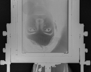 Creare un archivio dei ritratti di tutti gli artisti di Milano. Ecco come fare per andarsi a far fotografare