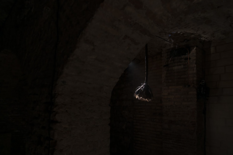 Along the weight I have lost, 2025. Ph: Eleonora Cerri