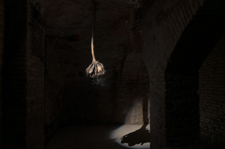 Along the weight I have lost, 2025. Ph: Eleonora Cerri