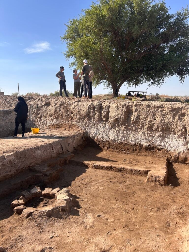 Seleucia al Tigri, Indagine archeologica nel Settore 1 (©IAES)