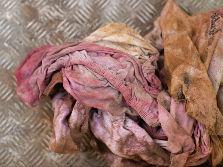 Che cosa è l’enshittification e che cosa ha a che vedere l’arte contemporanea 