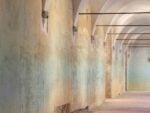 The rose that grew from concrete, installation view at Cantiere Sant'Orsola, Firenze, 2025