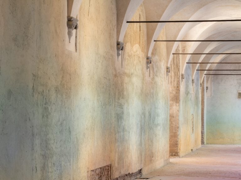 The rose that grew from concrete, installation view at Cantiere Sant'Orsola, Firenze, 2025