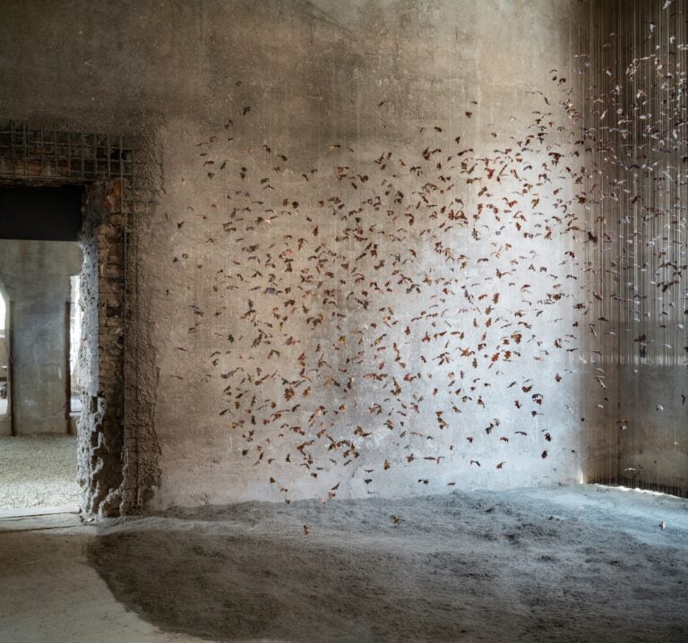 The rose that grew from concrete, installation view at Cantiere Sant'Orsola, Firenze, 2025