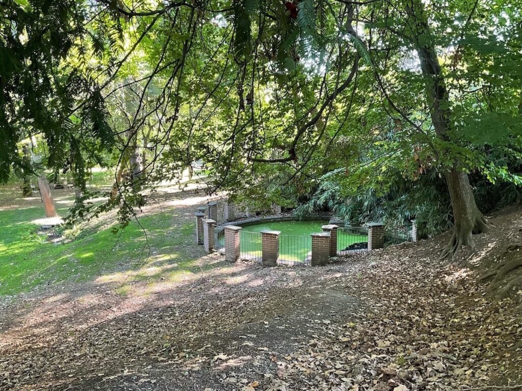 Torino. Orto Botanico. Il Boschetto