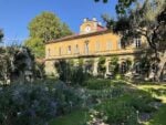 L’Orto Botanico di Torino sta per compiere 300 anni e ancora si rinnova per il pubblico