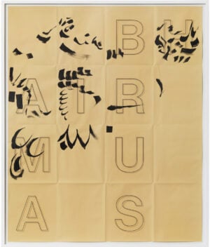 Giorgio Griffa / Simon Starling - D1-D5