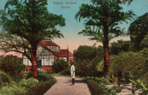 Donata Lazzarini - Cuoredoro