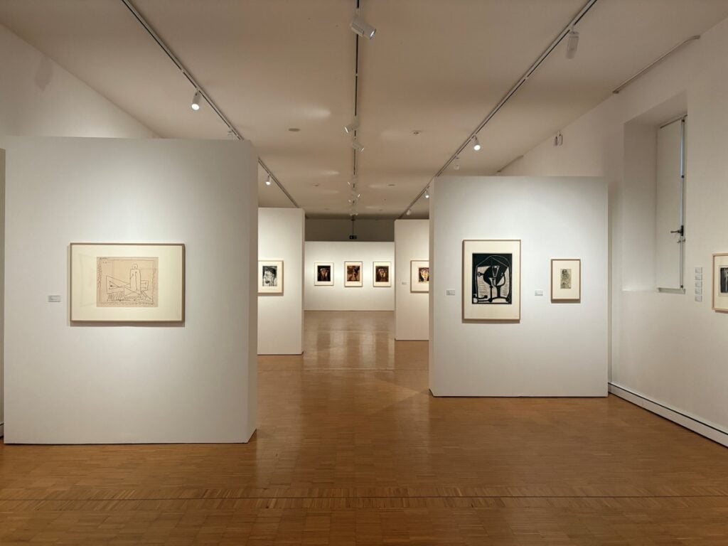 Pablo Picasso / Markus Raetz