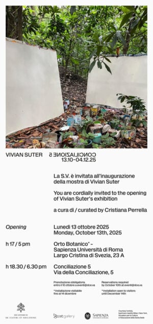 Conciliazione 5 - Vivian Suter