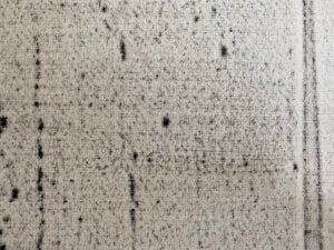 Stuart Ringholt - Verso Pictures