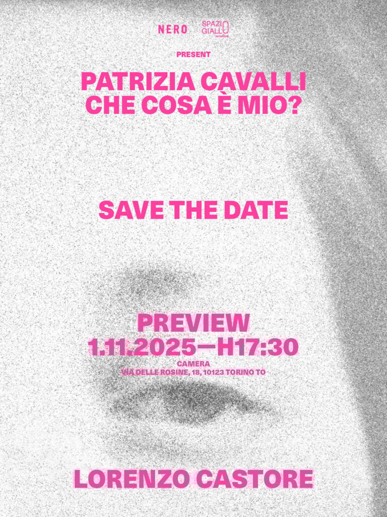 Patrizia Cavalli. Che cosa è mio?