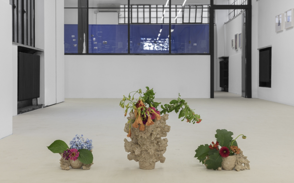 Lo spazio non profit Almanac a Torino si rinnova tra mostre, residenze e una fellowship
