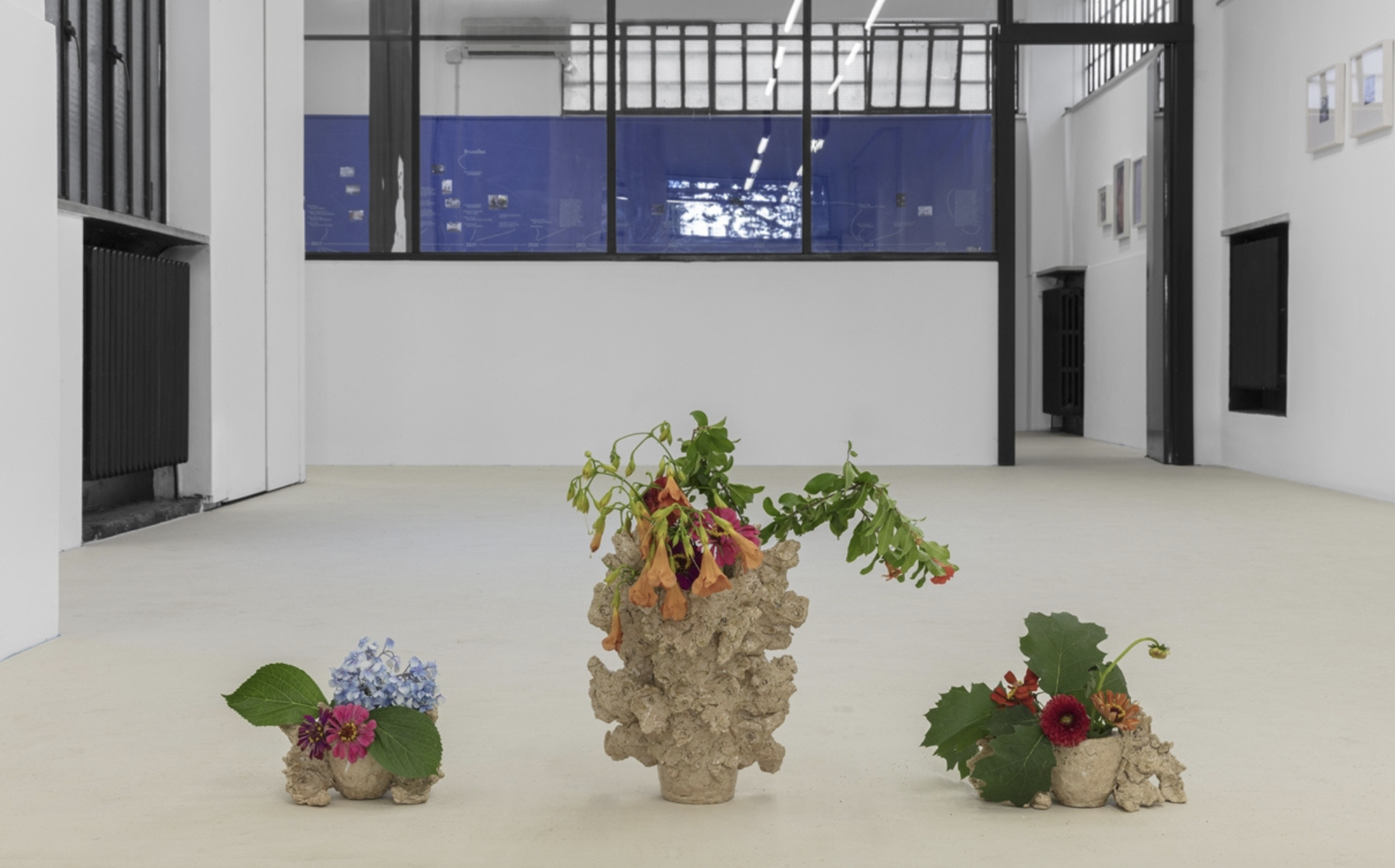 https://www.artribune.com/wp-content/uploads/2025/10/veduta-della-mostra-efemeridi-2013-2025-almanac-torino.png