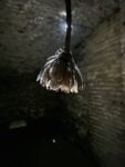 Wang Yuxiang, installation view, Roma, 2025.