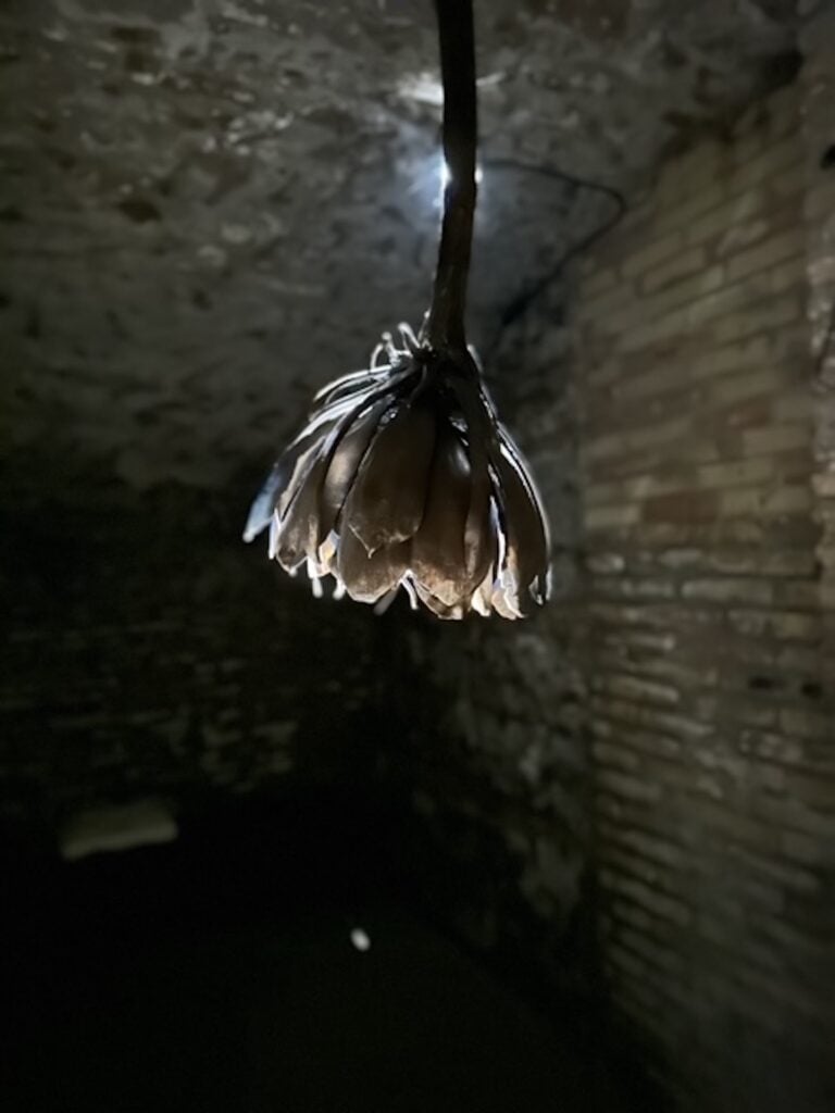 Wang Yuxiang, installation view, Roma, 2025.