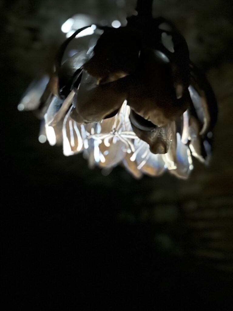 Wang Yuxiang, installation view, Roma, 2025.