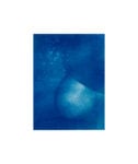 Wykofer 2025, Galleria Zema Roma