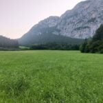 Bosco Lomasona, estate 2025. Ph: Gabriele Mulè