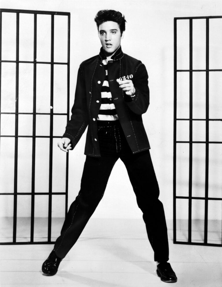 Elvis Presley, @Pixabay, Stockvault, CC0