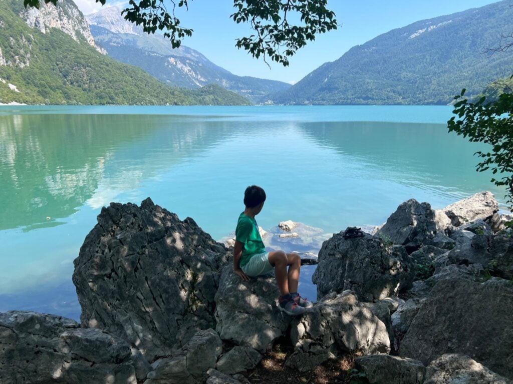 Un orso salverà la cultura della montagna. I paesaggi del Trentino alla prova dell’overtourism