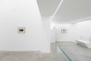 Luca Vitone - Capricci e altri umori