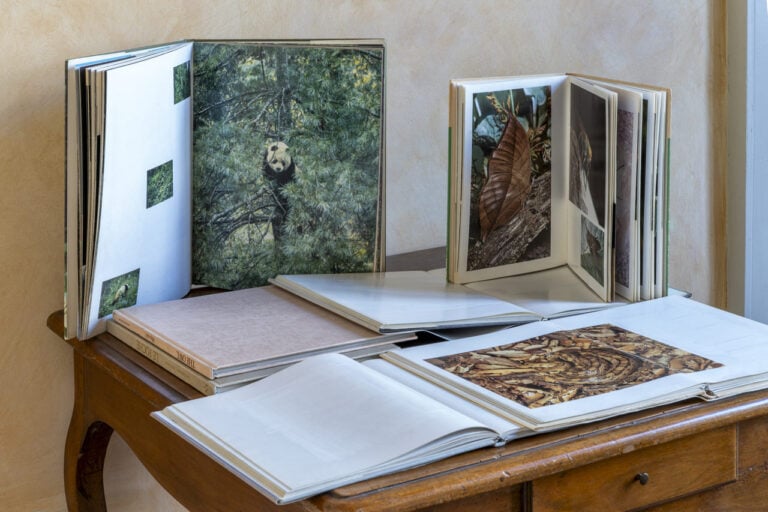 Libri cancellati, Coltivazioni erbacee, Palazzo Marchi_2025© photo Ela Bialkowska OKNO studio