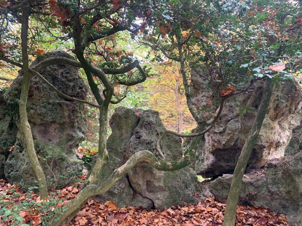 A Venezia un’installazione immersiva ricrea le forme del sottobosco. Le foto