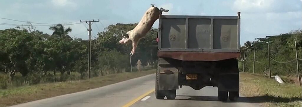 Artisti italiani all’estero. Guida alle mostre e gli eventi in trasferta per questo autunno