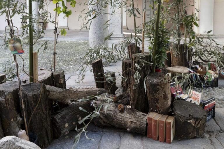 Orto di libri, Coltivazioni erbacee, Palazzo Marchi_2025© photo Ela Bialkowska OKNO studio