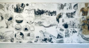 Luminița Țăranu - Indistinti confini - Ovidio e la Metamorfosi