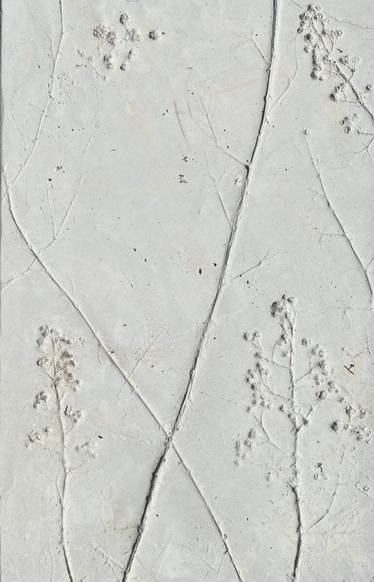 Selva Aparicio, Chora (dettaglio), Siris © Selva Aparicio